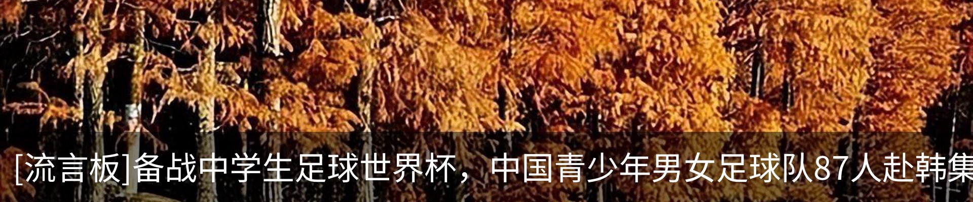 热点资讯